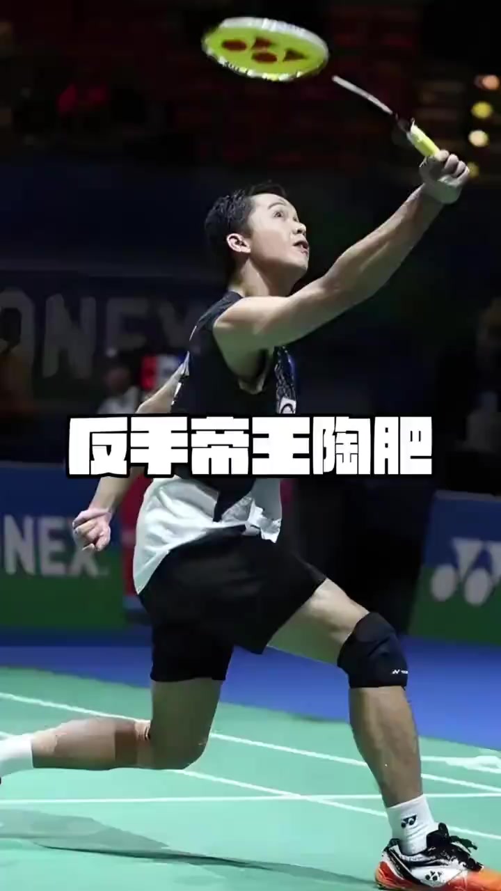 印尼羽毛球队险胜马来西亚羽毛球队，陶菲克送出助攻的简单介绍