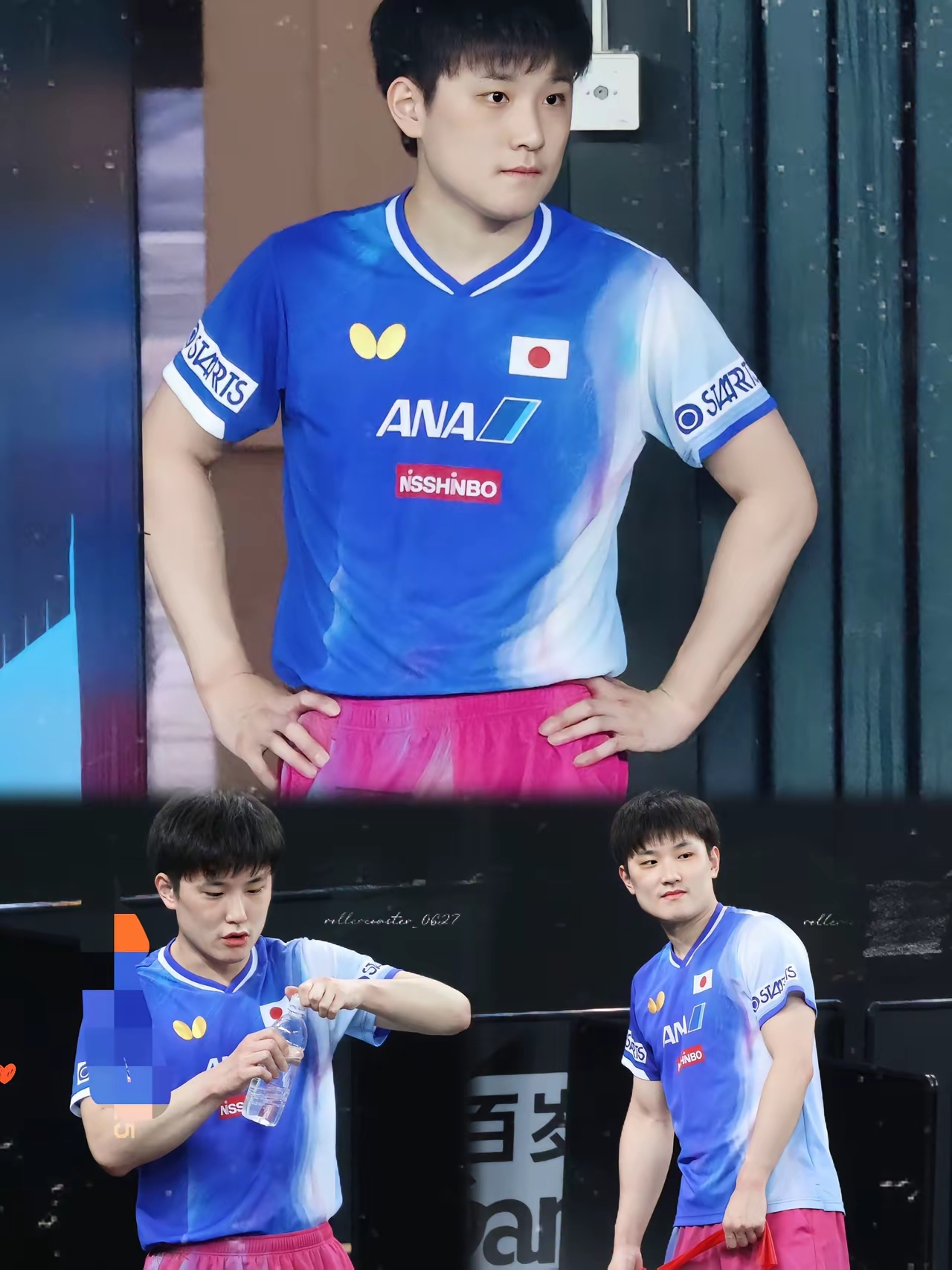 波兰队完胜日本队，张本智和扛起全队的简单介绍