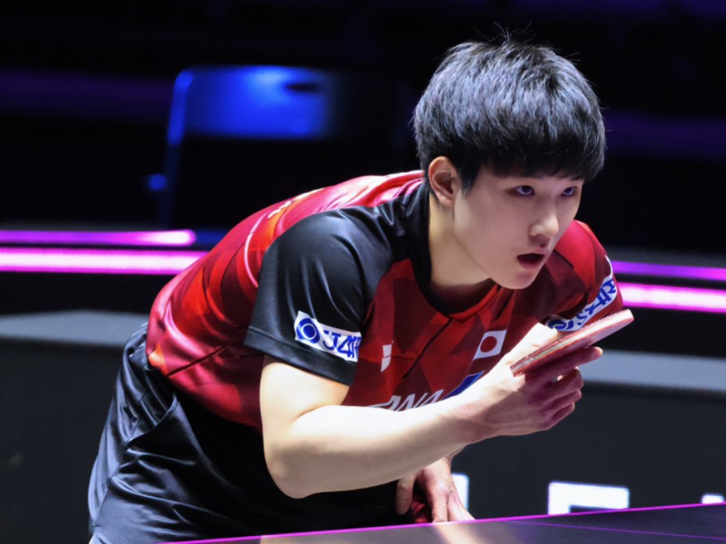 波兰队完胜日本队，张本智和扛起全队的简单介绍