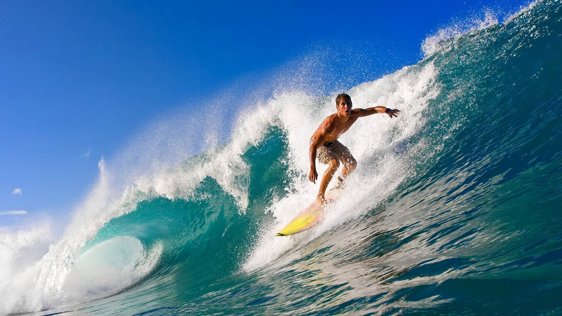 跨越赛场的统治力，当武切维奇在欧冠半决赛老鹰拿下黄蜂般接管比赛